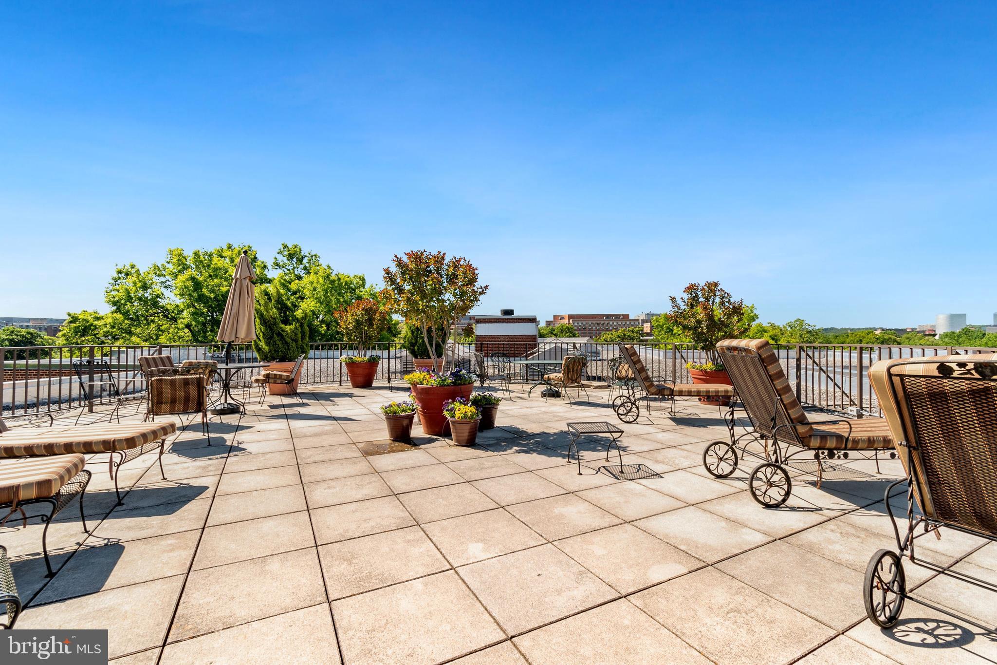 2500 Q Street Northwest, Unit 219 Washington, DC 20007 - Photo 10 of 22 Roof Top Terrace