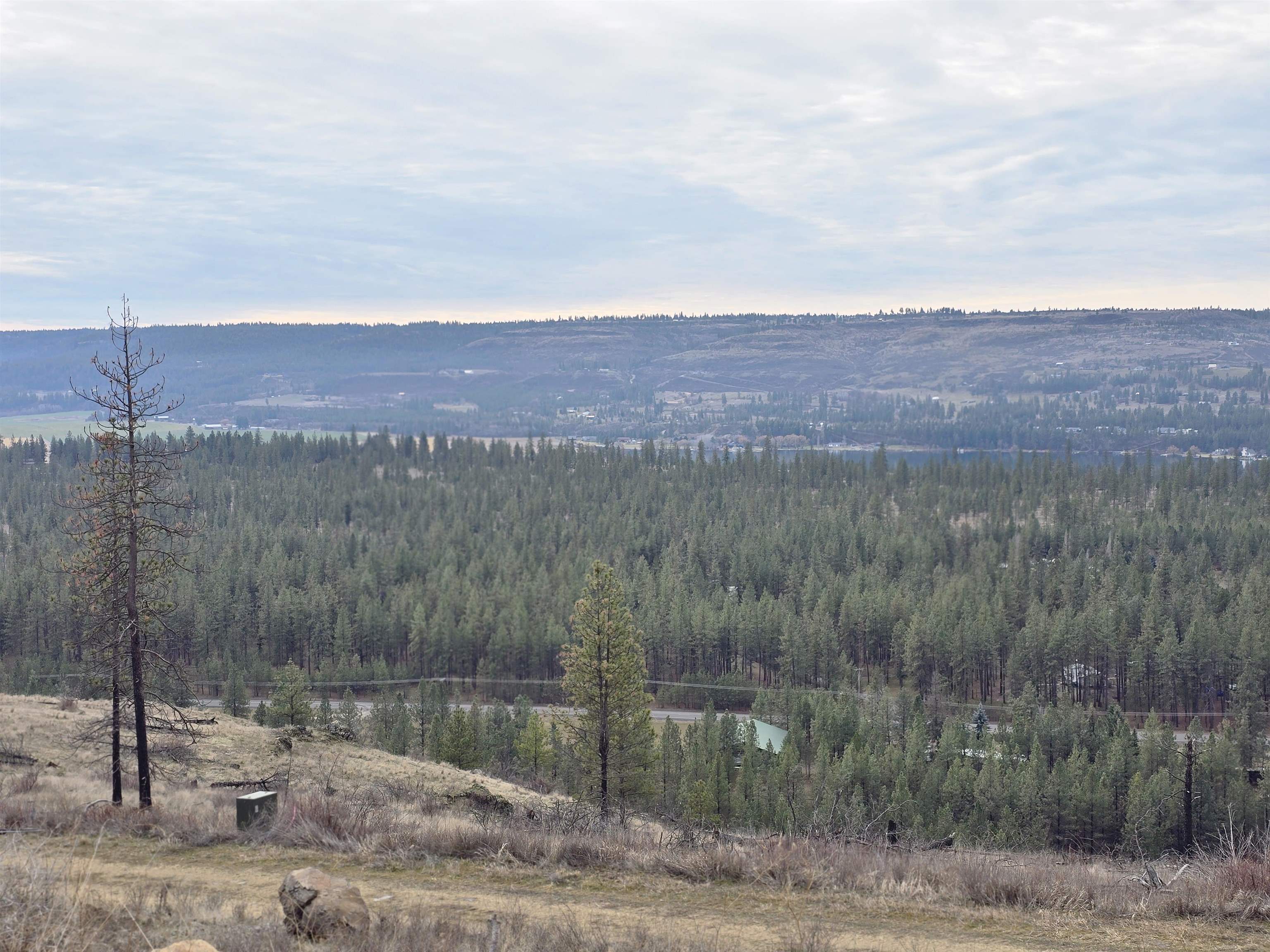 Nine Mile Falls Nine Mile Falls, WA 99026 - Photo 11 of 26