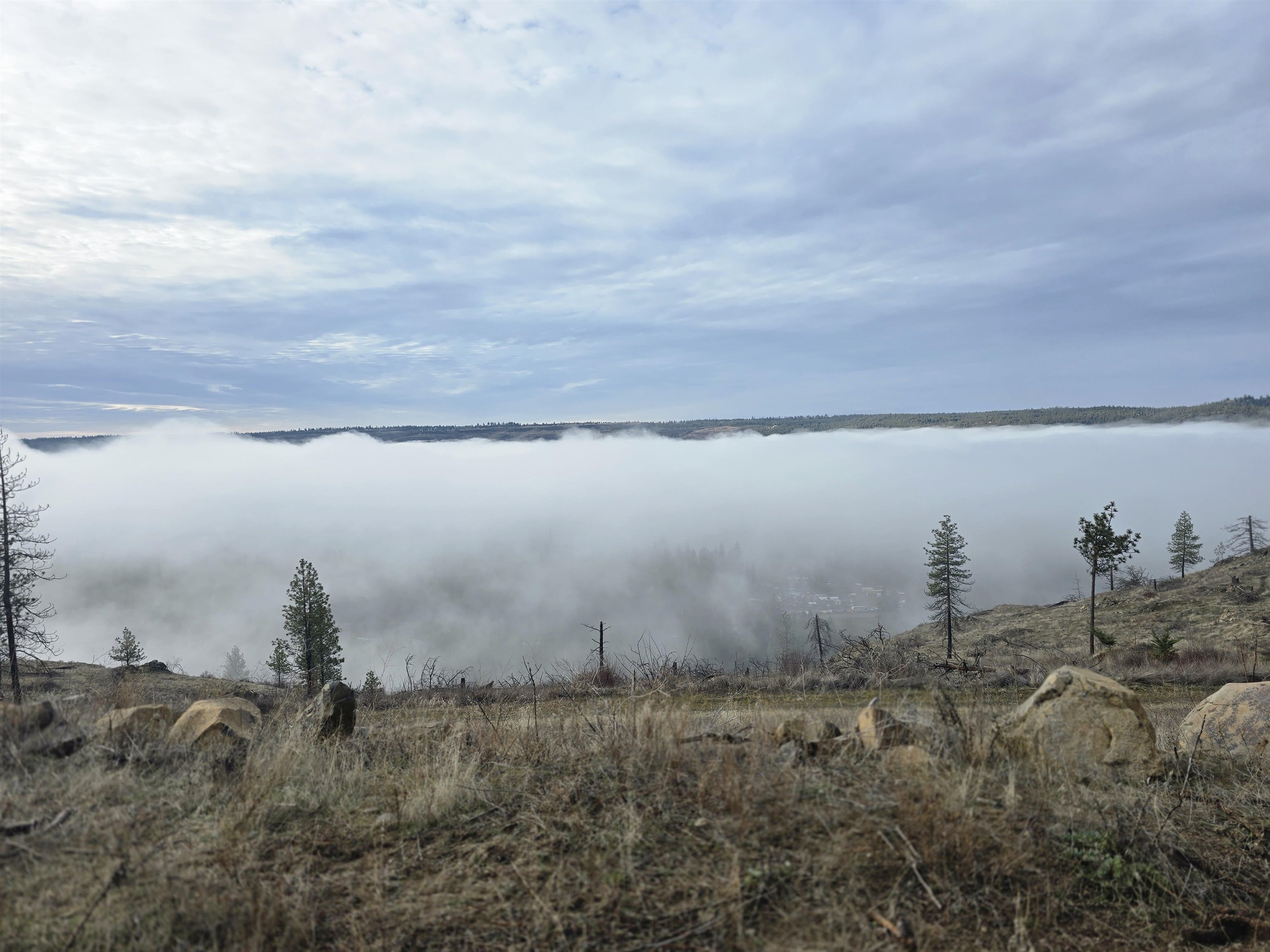 Nine Mile Falls Nine Mile Falls, WA 99026 - Photo 6 of 26