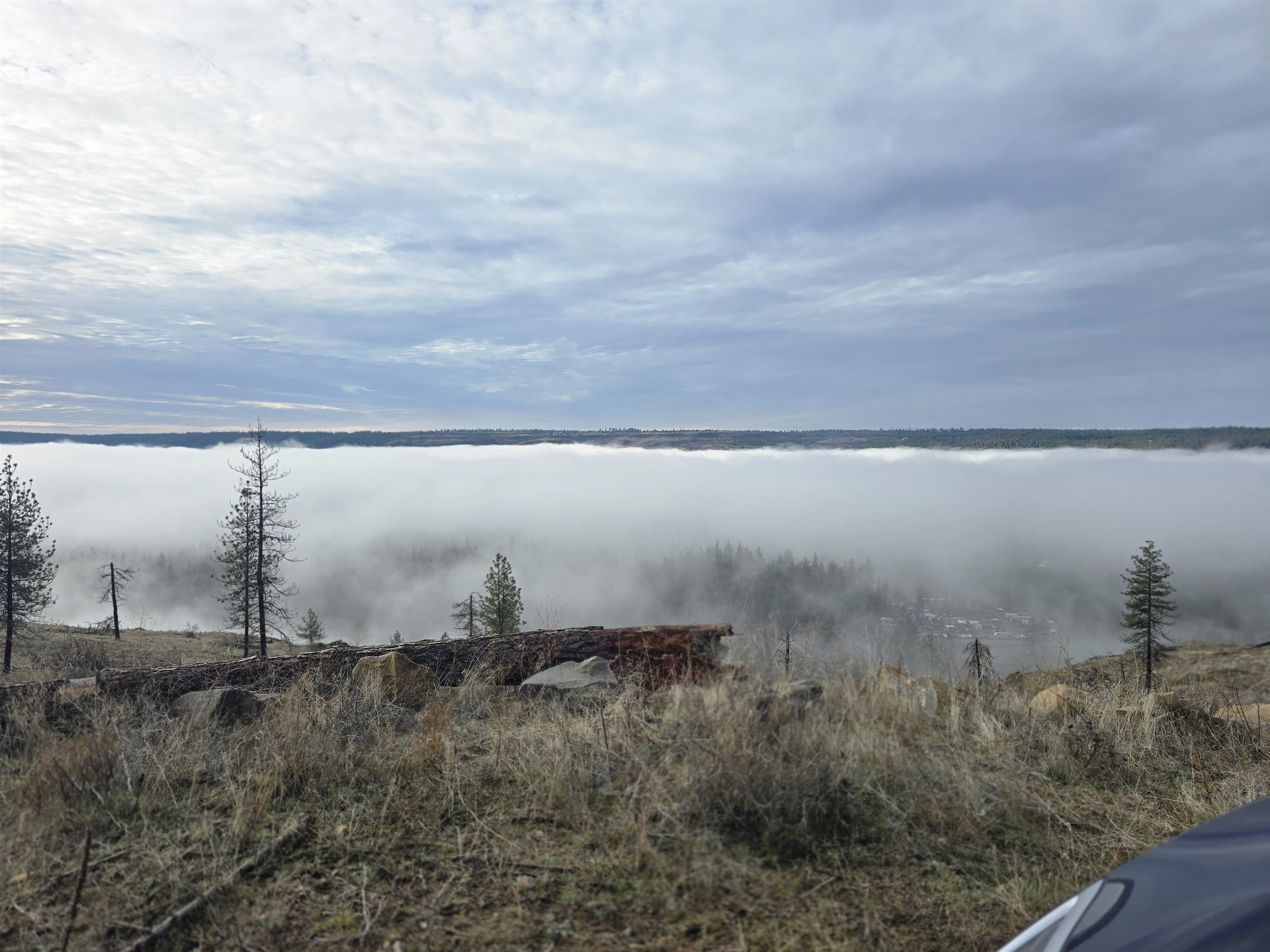 Nine Mile Falls Nine Mile Falls, WA 99026 - Photo 7 of 26