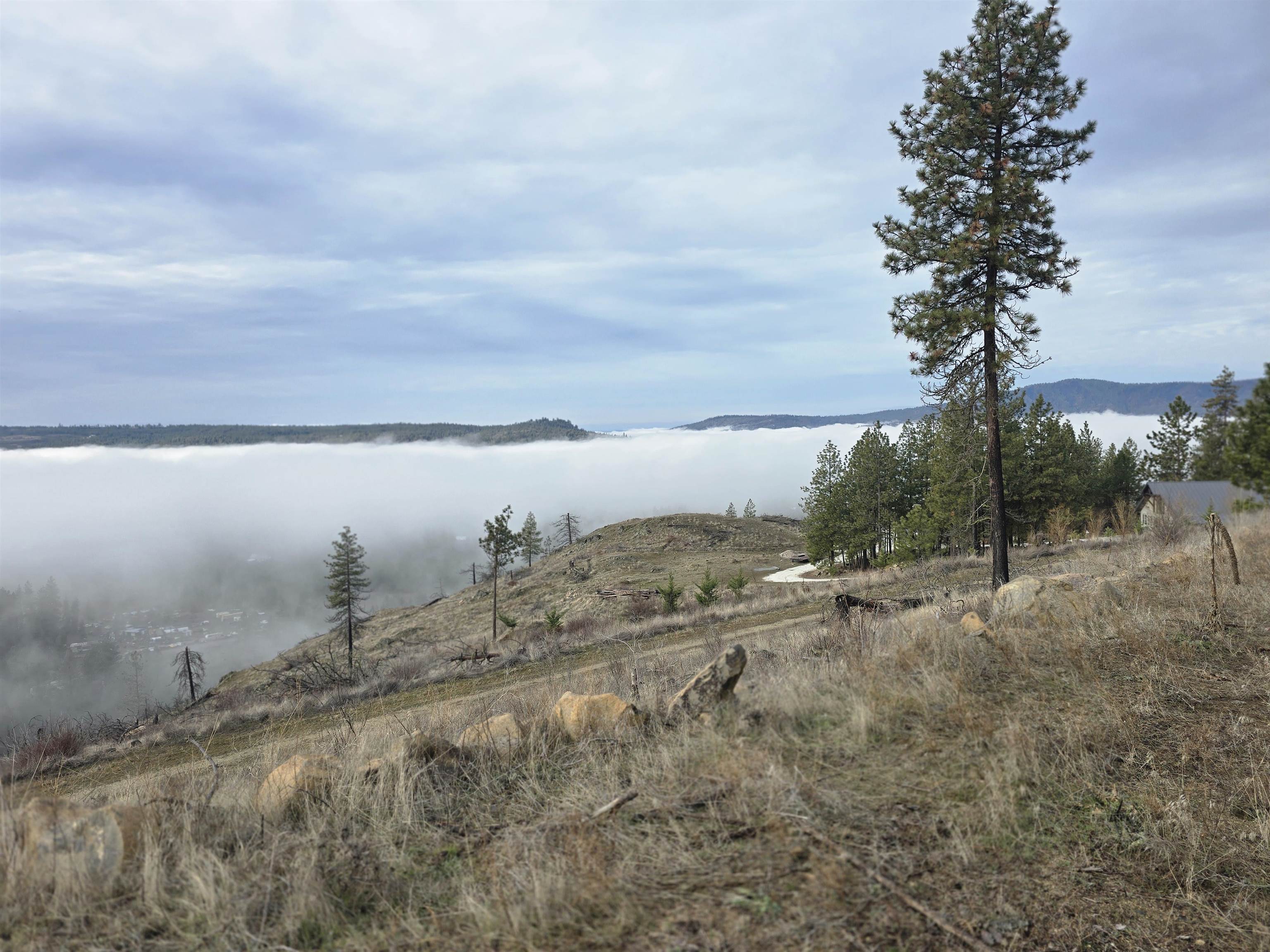 Nine Mile Falls Nine Mile Falls, WA 99026 - Photo 8 of 26