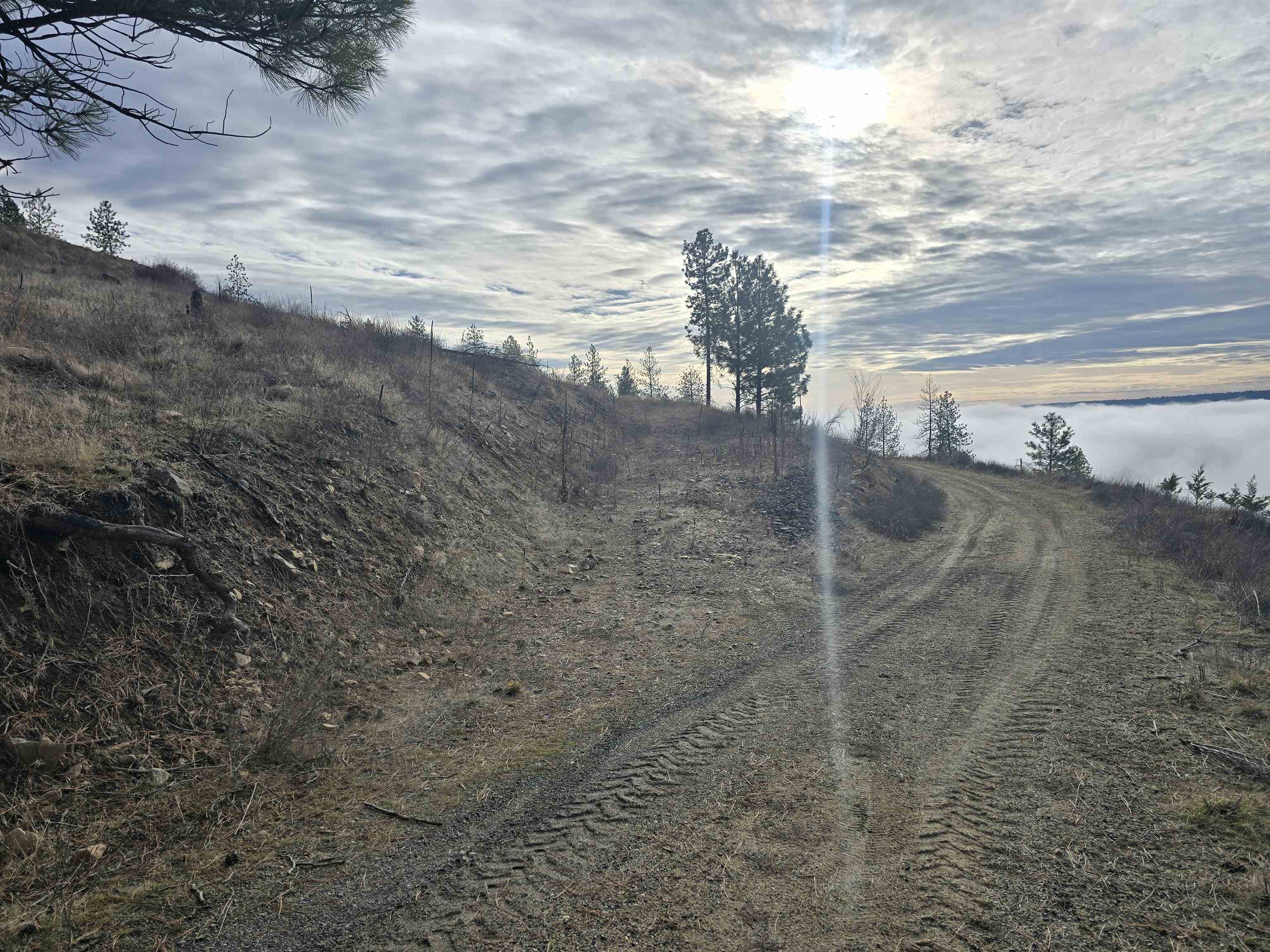 Nine Mile Falls Nine Mile Falls, WA 99026 - Photo 9 of 26