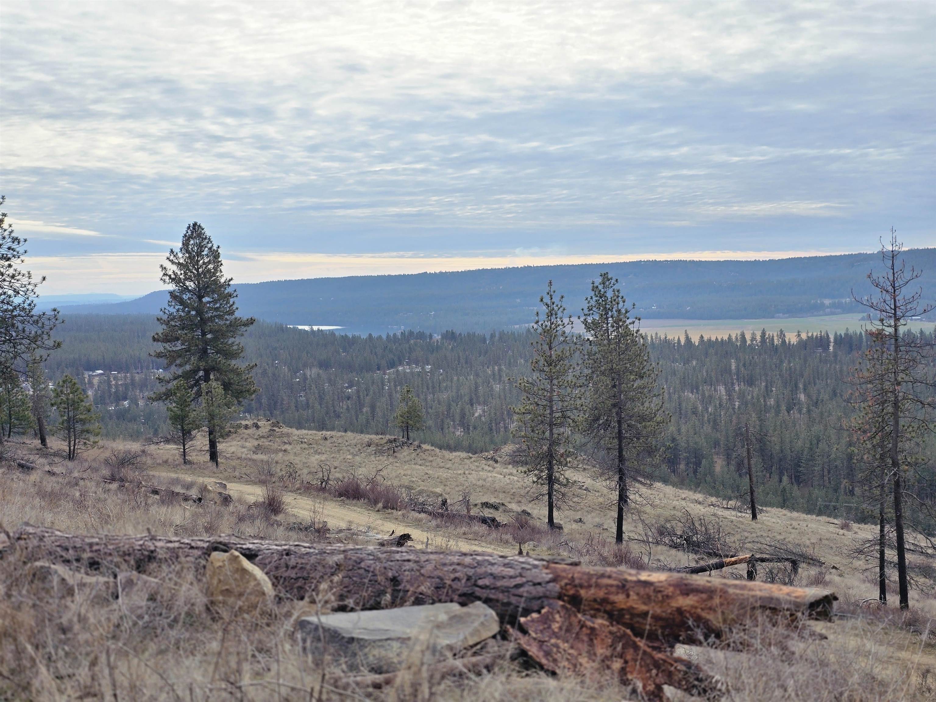 Nine Mile Falls Nine Mile Falls, WA 99026 - Photo 10 of 26