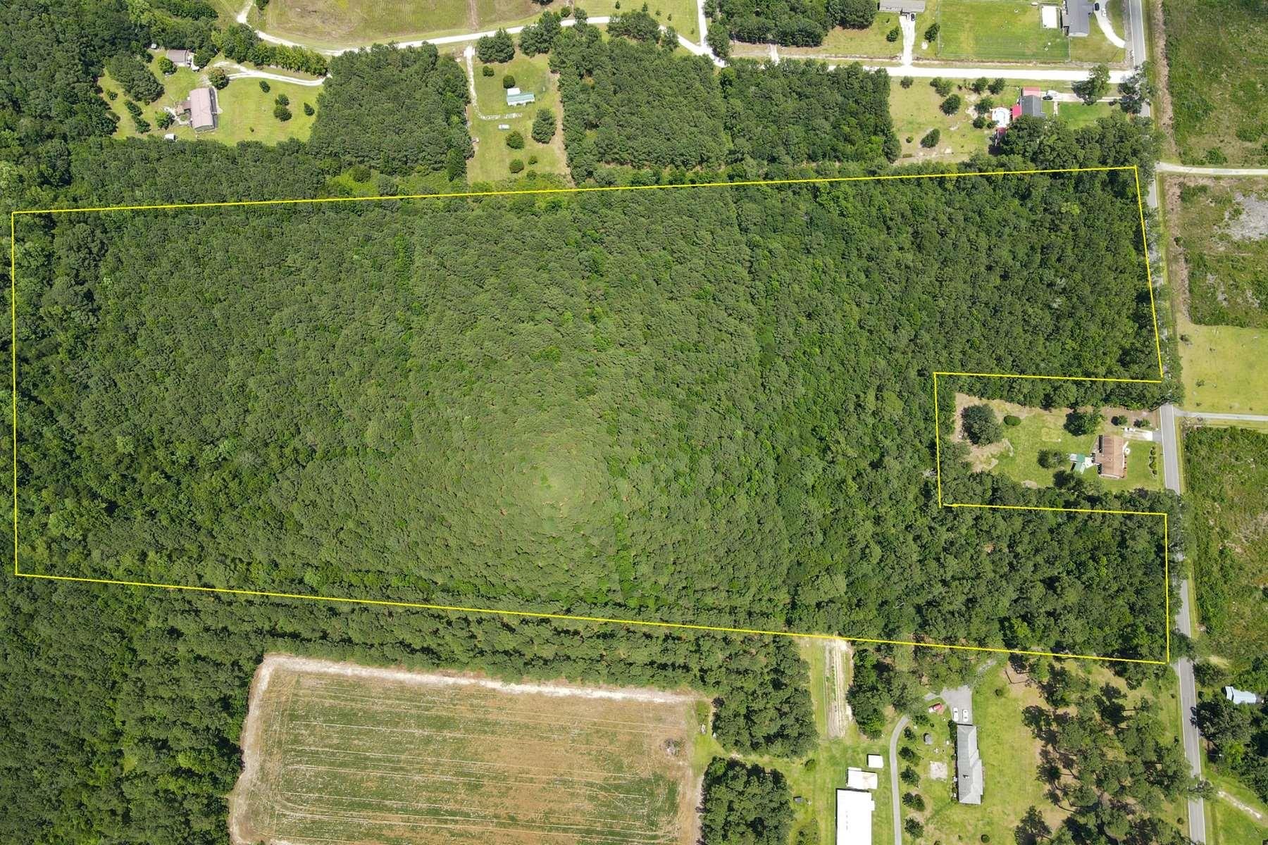 Tbd Emery Road Loris, SC 29569 - Photo 3 of 10 Gallery Image 3