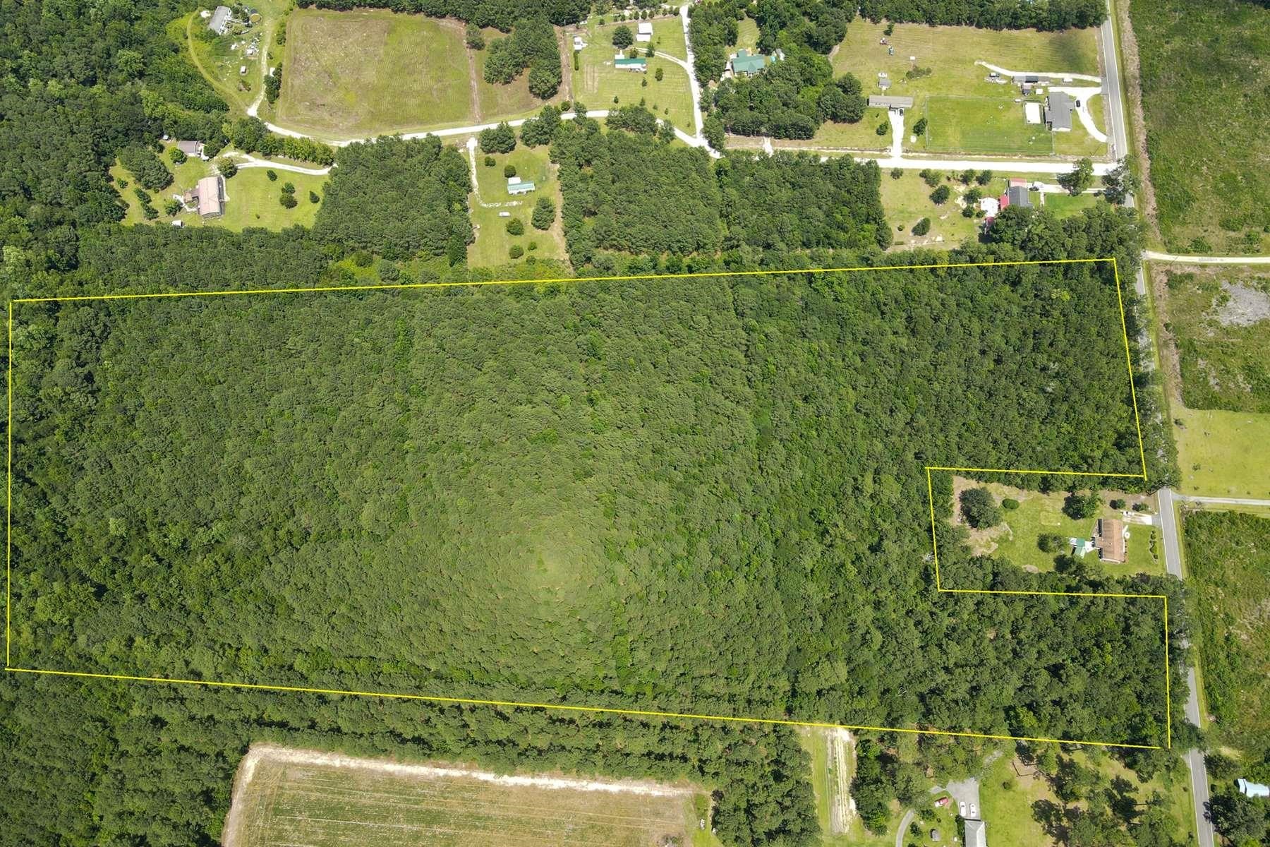 Tbd Emery Road Loris, SC 29569 - Photo 4 of 10 Gallery Image 4