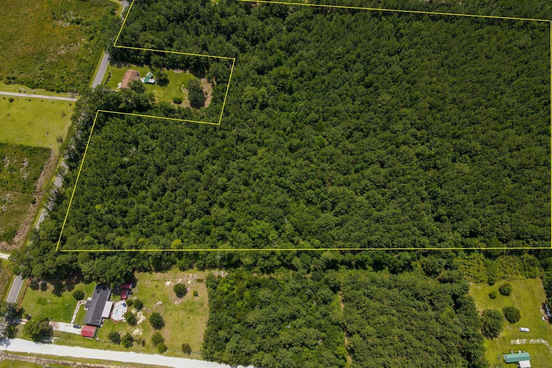 Tbd Emery Road Loris, SC 29569 - Photo 8 of 10 Gallery Image 8
