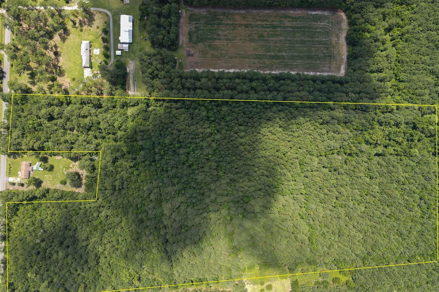 Tbd Emery Road Loris, SC 29569 - Photo 9 of 10 Gallery Image 9