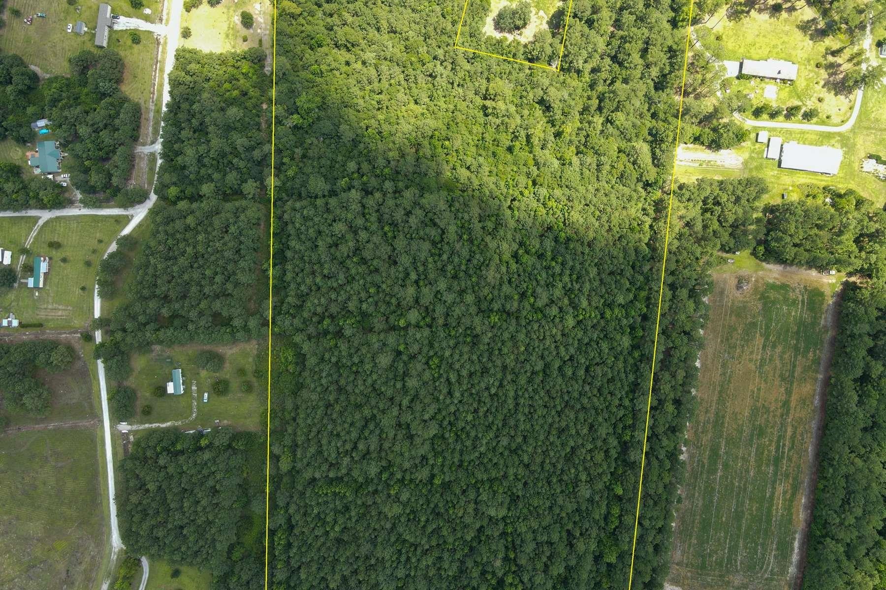 Tbd Emery Road Loris, SC 29569 - Photo 10 of 10 Gallery Image 10