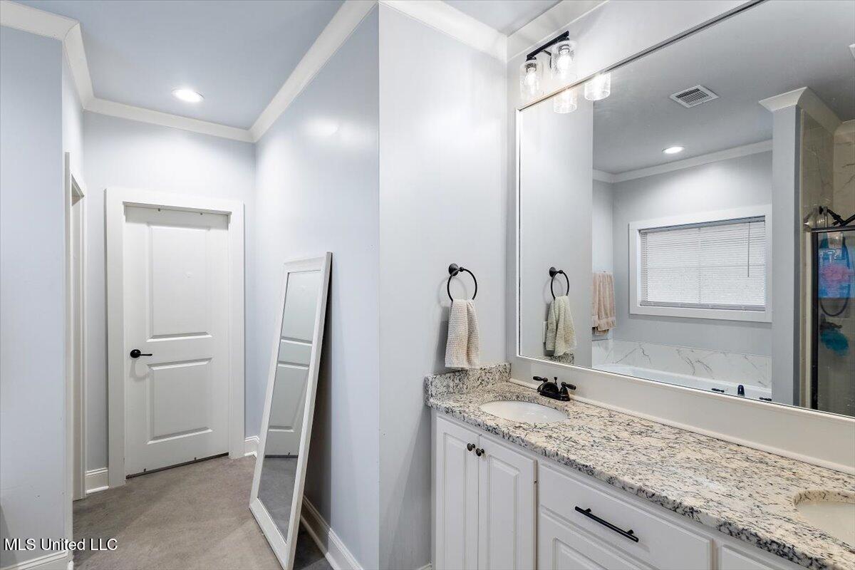 144 Porter Ridge Canton, MS 39046 - Photo 15 of 26 Primary Bathroom Vanity Area