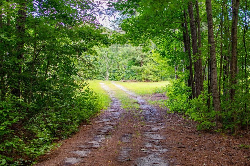 8291 Highway 5 Winston, GA 30187 - Photo 59 of 65