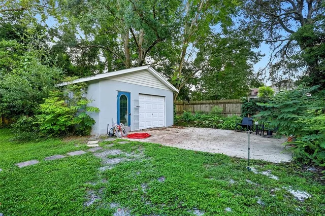 a view of a backyard with plants and large tree