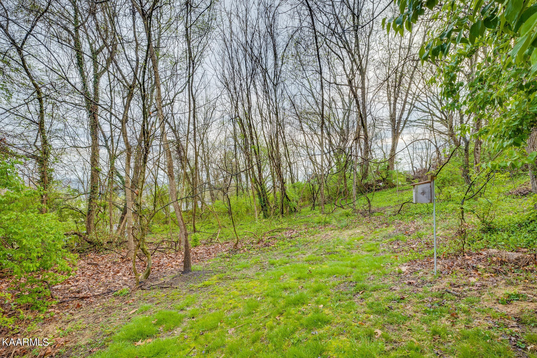 7713 Blueberry Road Powell, TN 37849 - Photo 23 of 25 Gallery Image 23