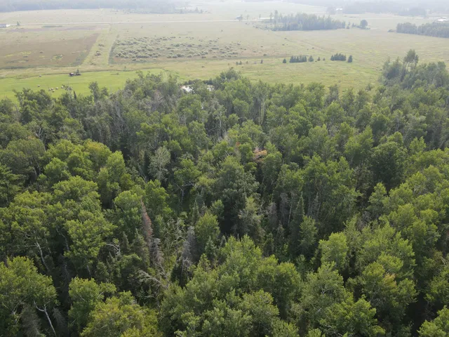 $250,000 | 2536 East Gogomain Road, Pickford, MI 49774