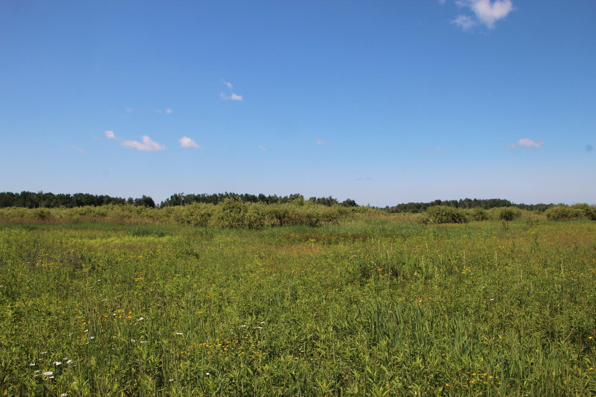 2536 East Gogomain Road Pickford, MI 49774 - Photo 32 of 54 IMG_0986