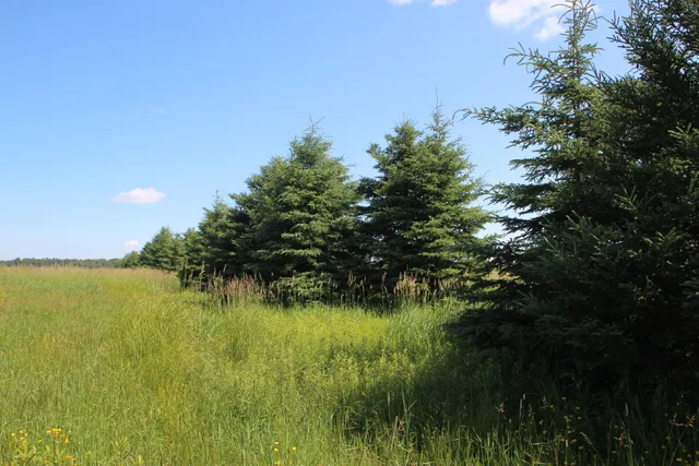 $250,000 | 2536 East Gogomain Road, Pickford, MI 49774