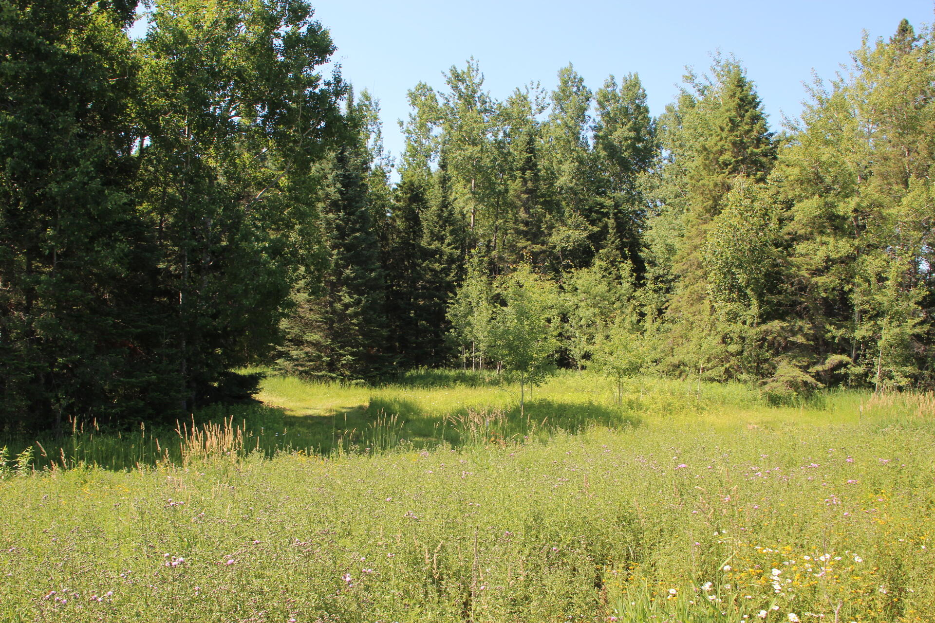 2536 East Gogomain Road Pickford, MI 49774 - Photo 34 of 54 IMG_0981