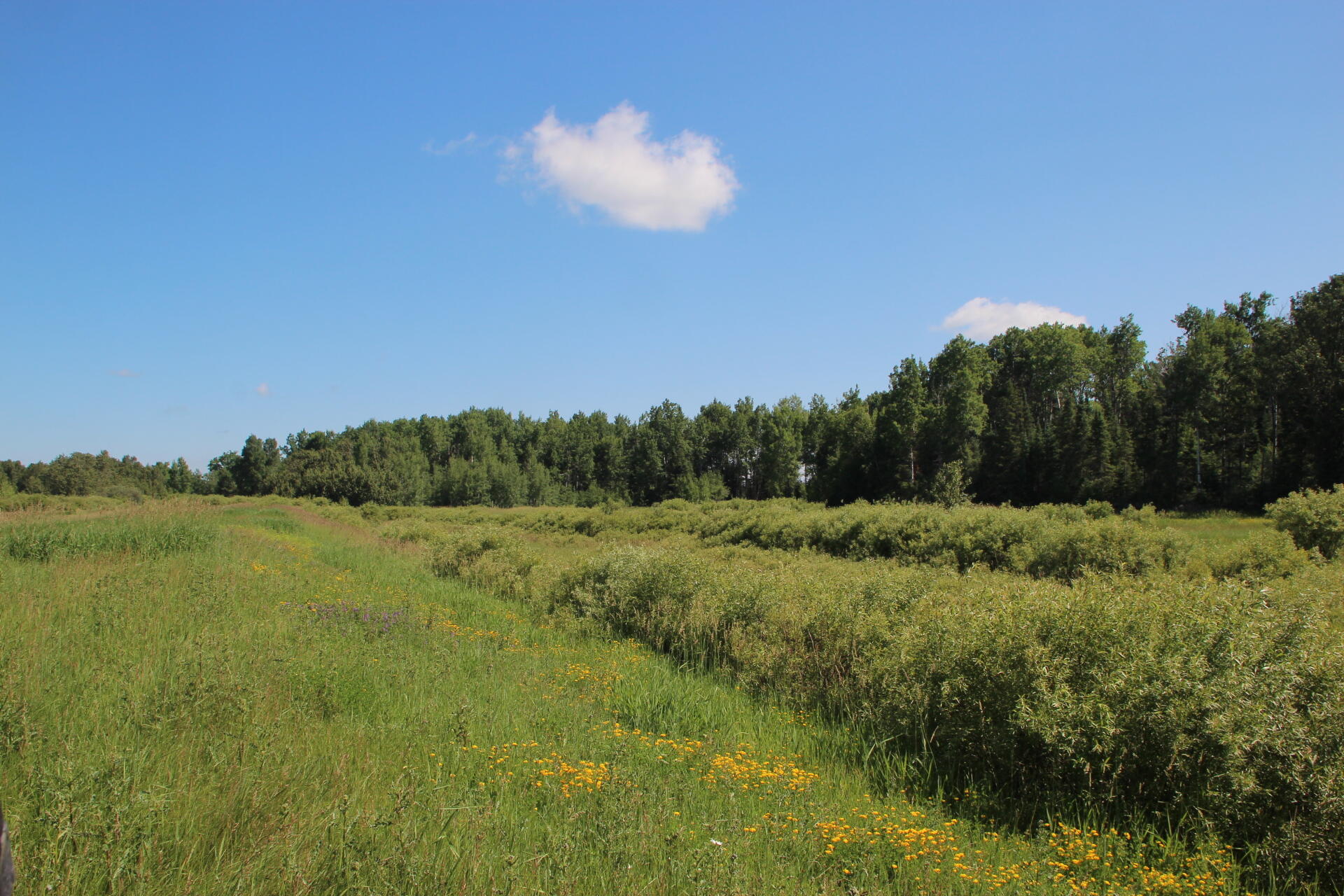 2536 East Gogomain Road Pickford, MI 49774 - Photo 35 of 54 IMG_0972
