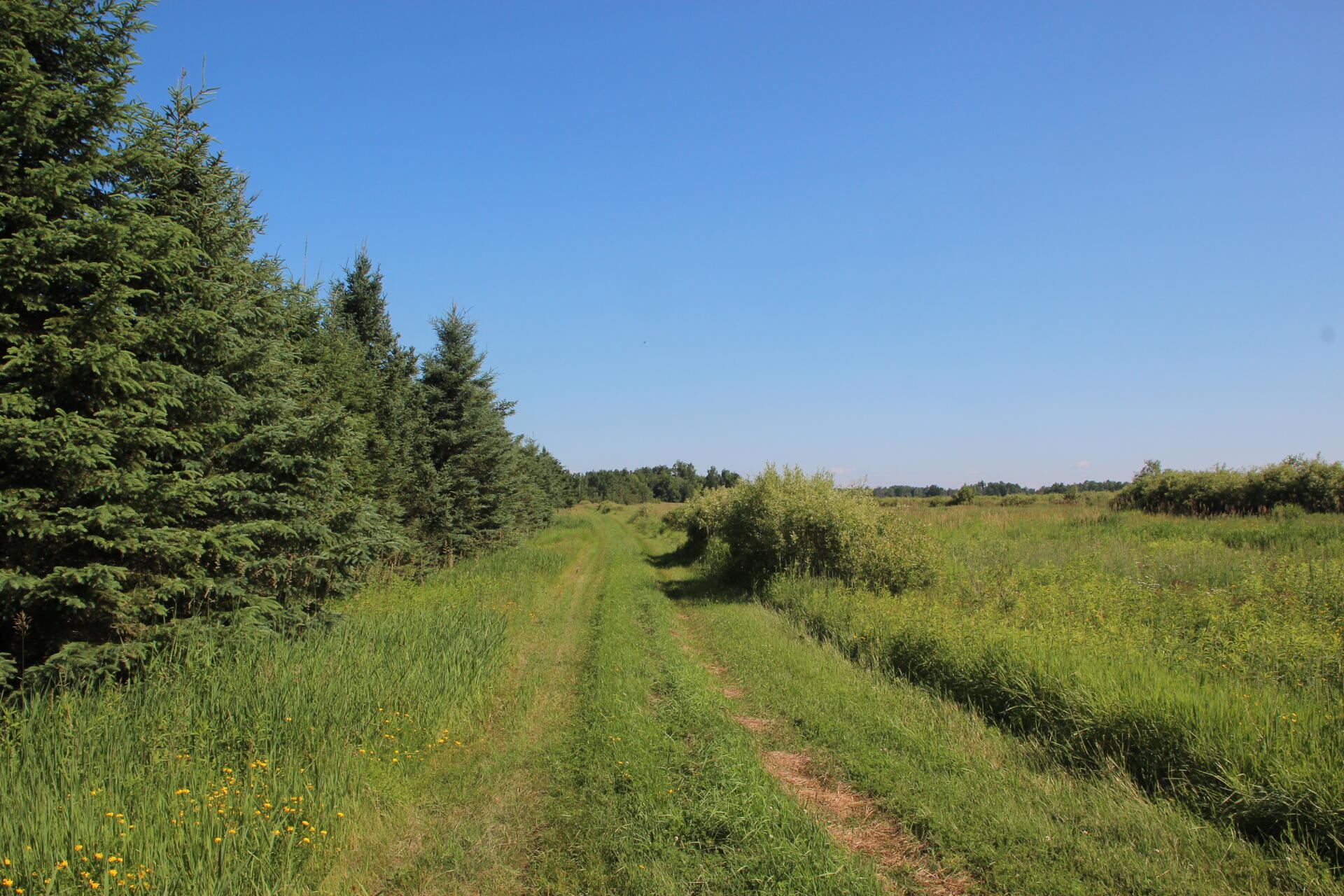 2536 East Gogomain Road Pickford, MI 49774 - Photo 36 of 54 IMG_0935