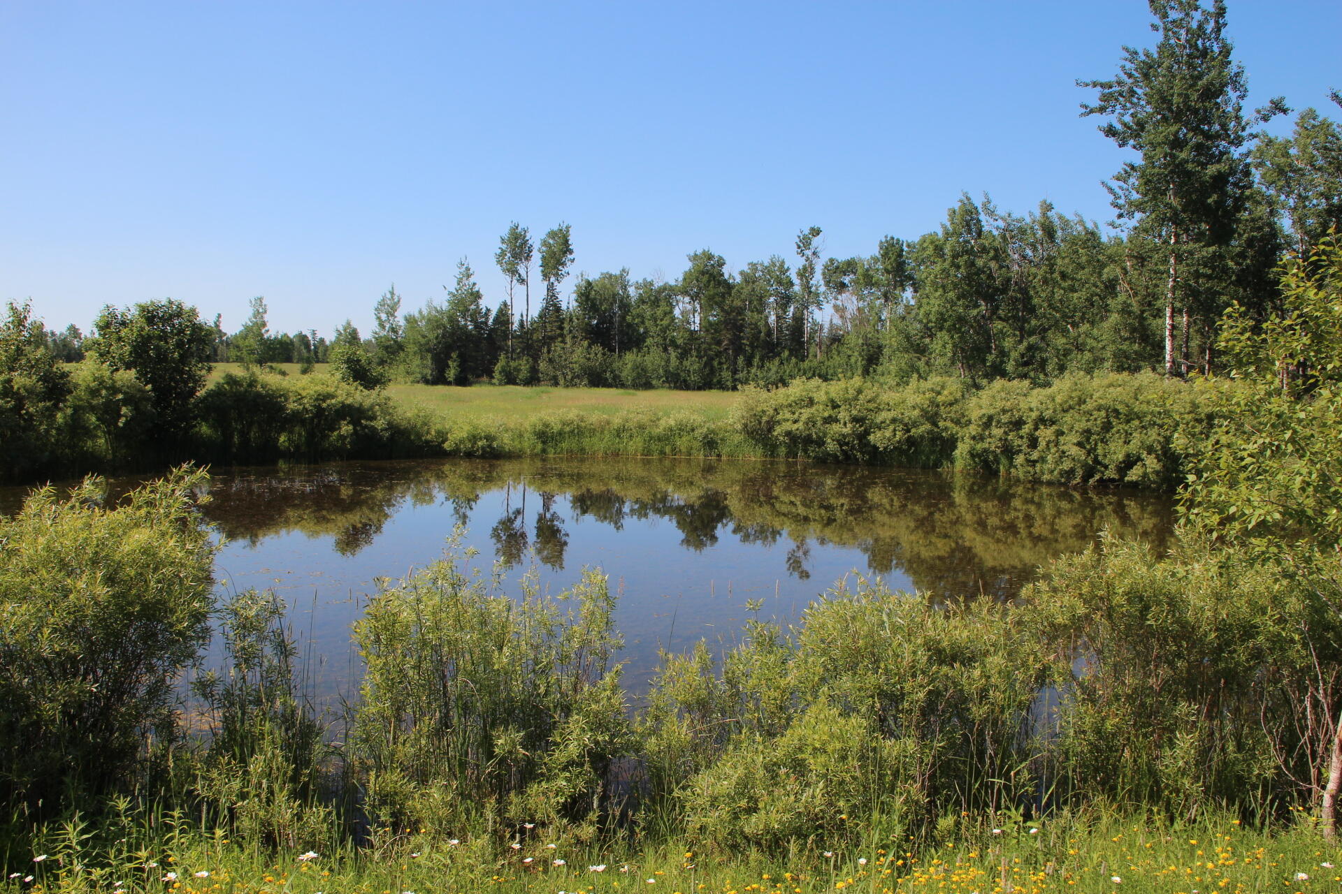 2536 East Gogomain Road Pickford, MI 49774 - Photo 37 of 54 IMG_0948