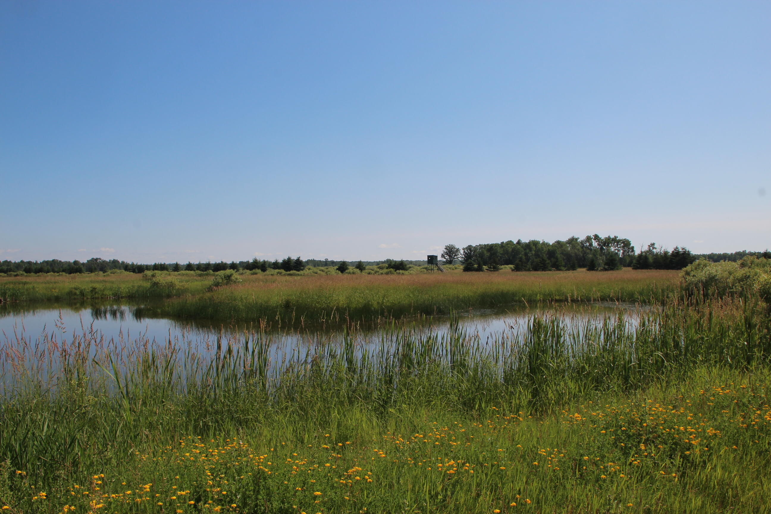2536 East Gogomain Road Pickford, MI 49774 - Photo 38 of 54 IMG_0954