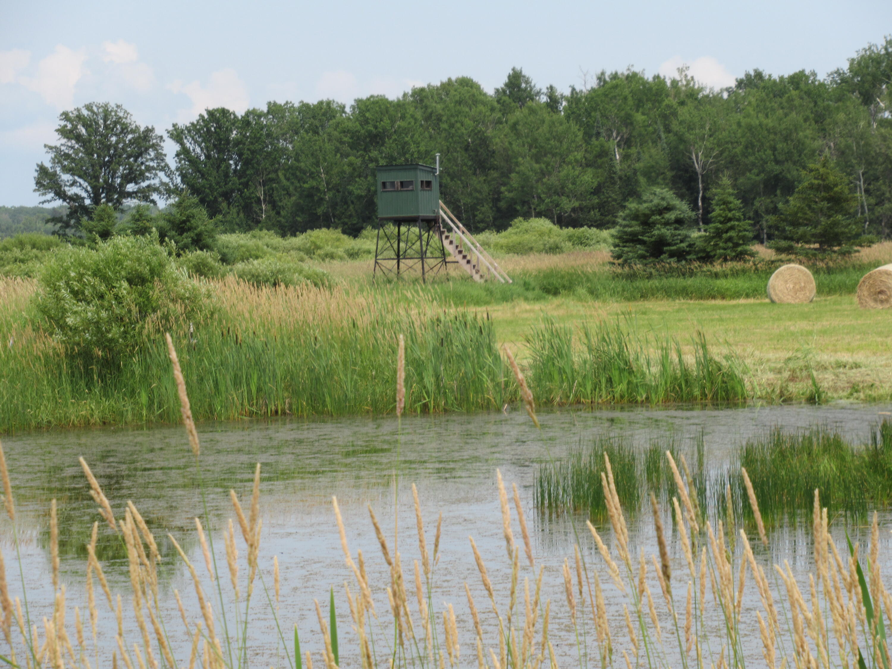 2536 East Gogomain Road Pickford, MI 49774 - Photo 39 of 54 IMG_0142