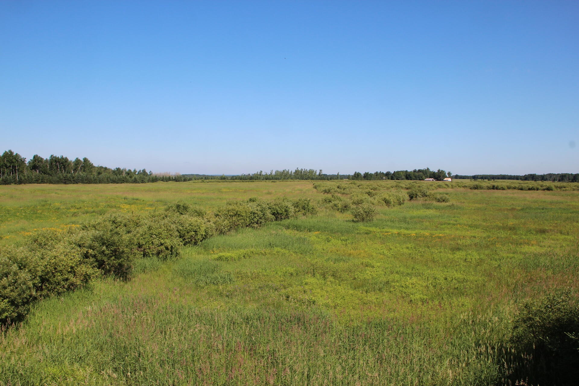 2536 East Gogomain Road Pickford, MI 49774 - Photo 40 of 54 IMG_0945