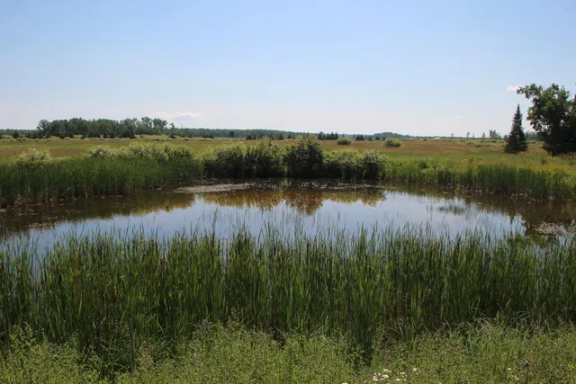 $250,000 | 2536 East Gogomain Road, Pickford, MI 49774