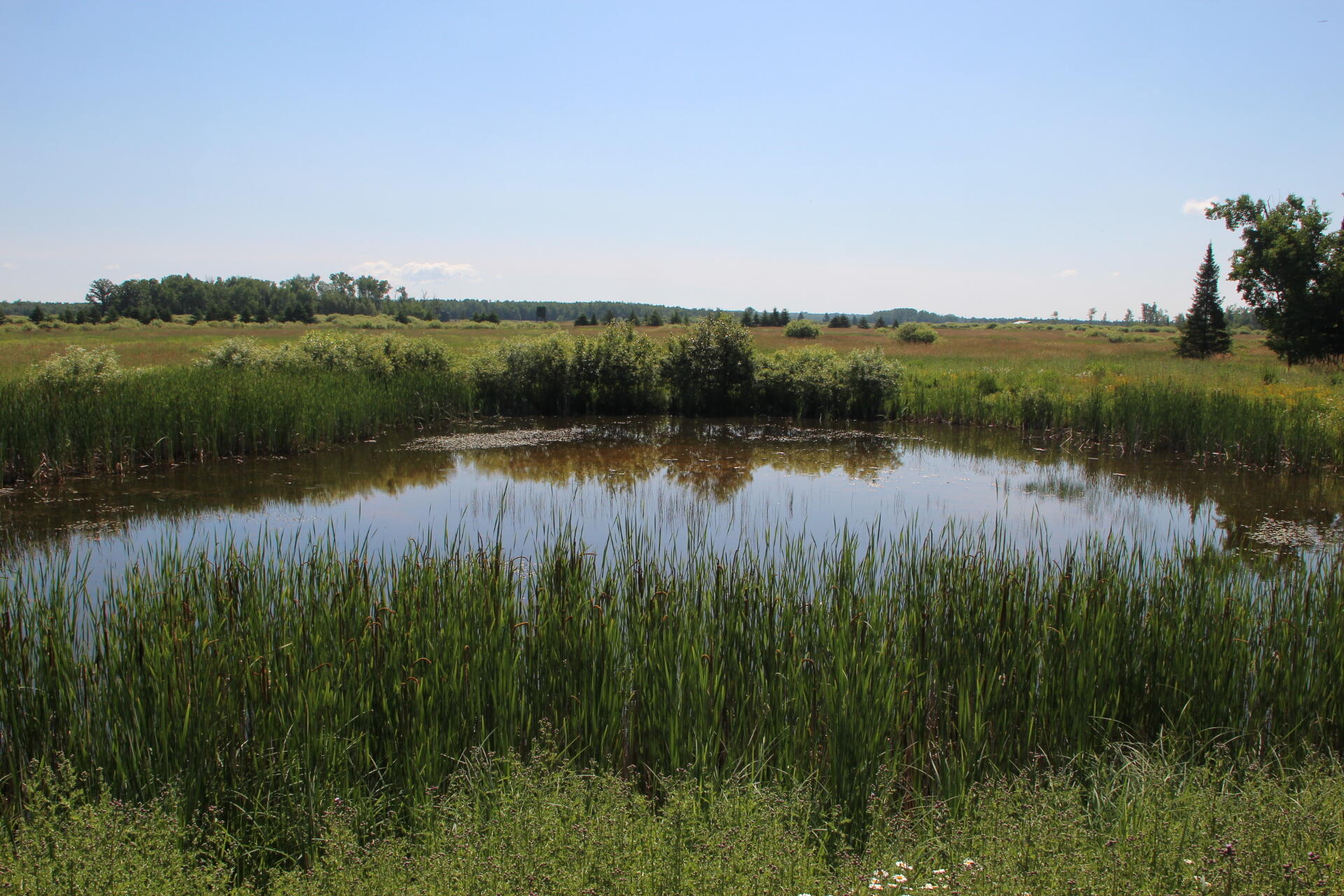 2536 East Gogomain Road Pickford, MI 49774 - Photo 41 of 54 IMG_0976