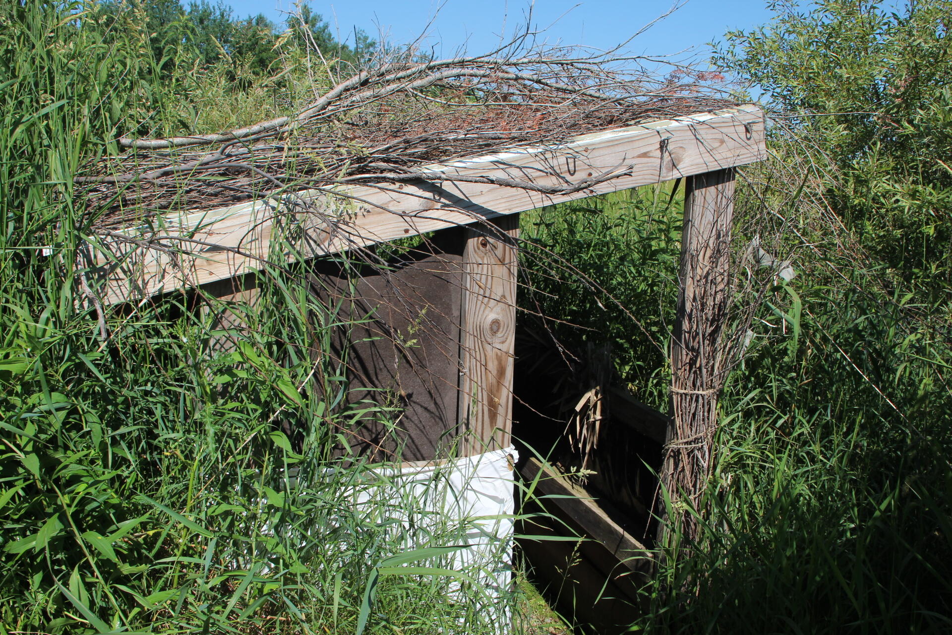 2536 East Gogomain Road Pickford, MI 49774 - Photo 42 of 54 IMG_0955