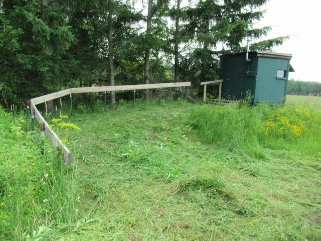 $250,000 | 2536 East Gogomain Road, Pickford, MI 49774