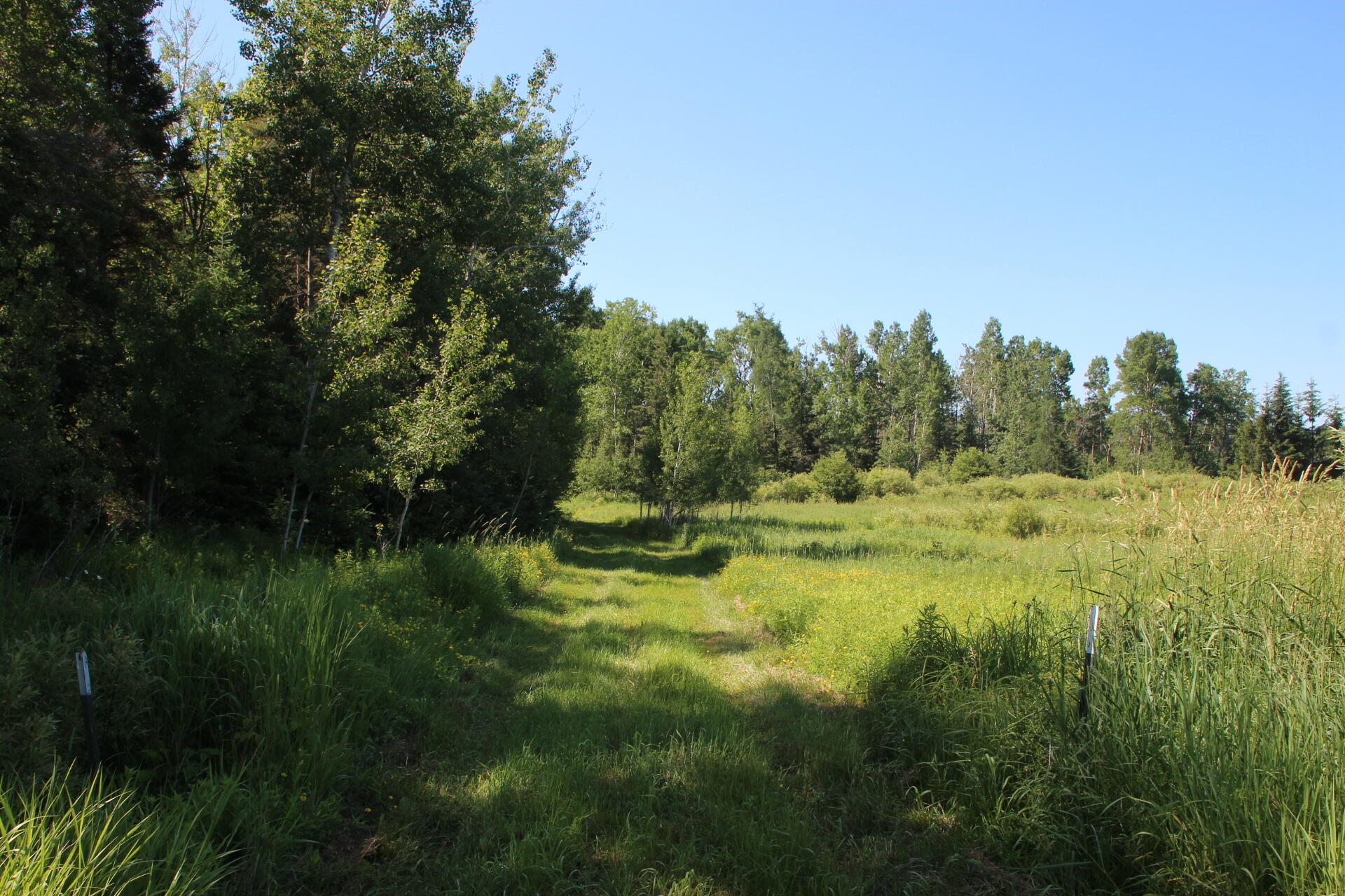 2536 East Gogomain Road Pickford, MI 49774 - Photo 45 of 54 IMG_0964