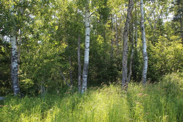 $250,000 | 2536 East Gogomain Road, Pickford, MI 49774