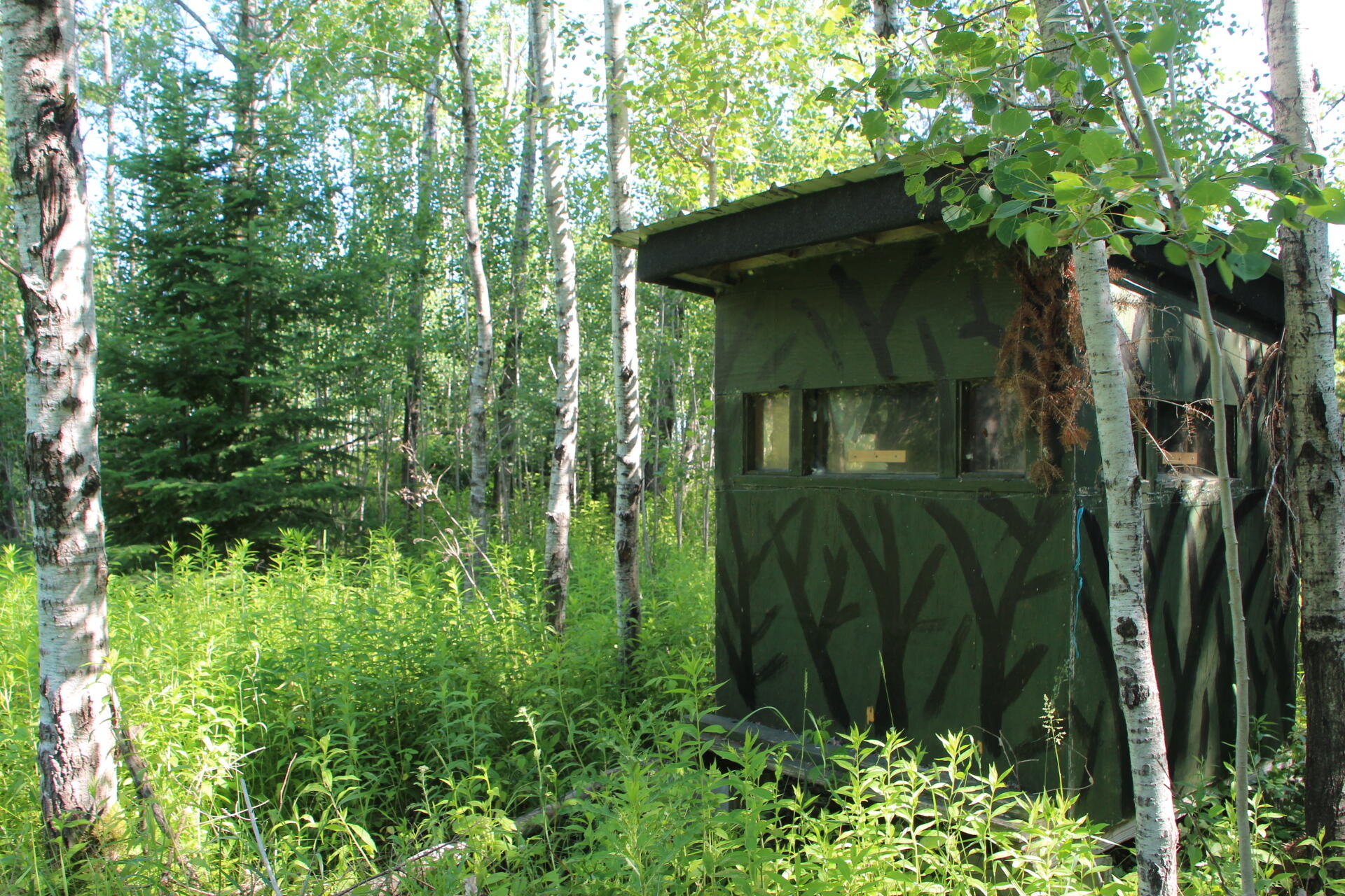 2536 East Gogomain Road Pickford, MI 49774 - Photo 47 of 54 IMG_0938