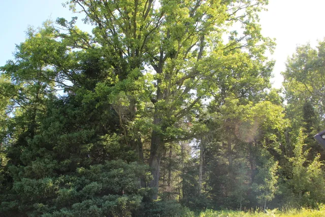 $250,000 | 2536 East Gogomain Road, Pickford, MI 49774