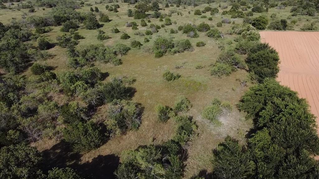0 Ballew Springs Road Weatherford, TX 76088 - Photo 19 of 19