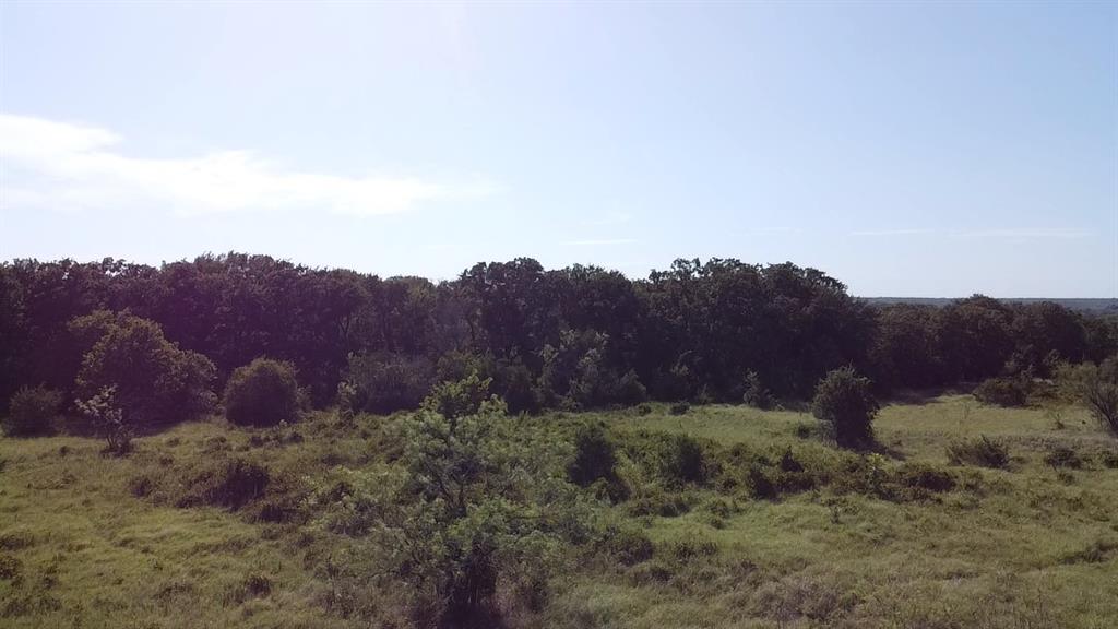 0 Ballew Springs Road Weatherford, TX 76088 - Photo 9 of 19