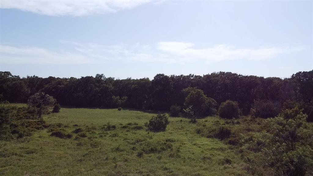 0 Ballew Springs Road Weatherford, TX 76088 - Photo 10 of 19