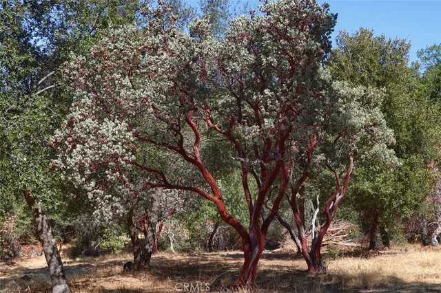 $125,000 | 10 Timberwood Lane, Oakhurst, CA 93644