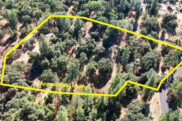 a view of a swimming pool with a yard and plants