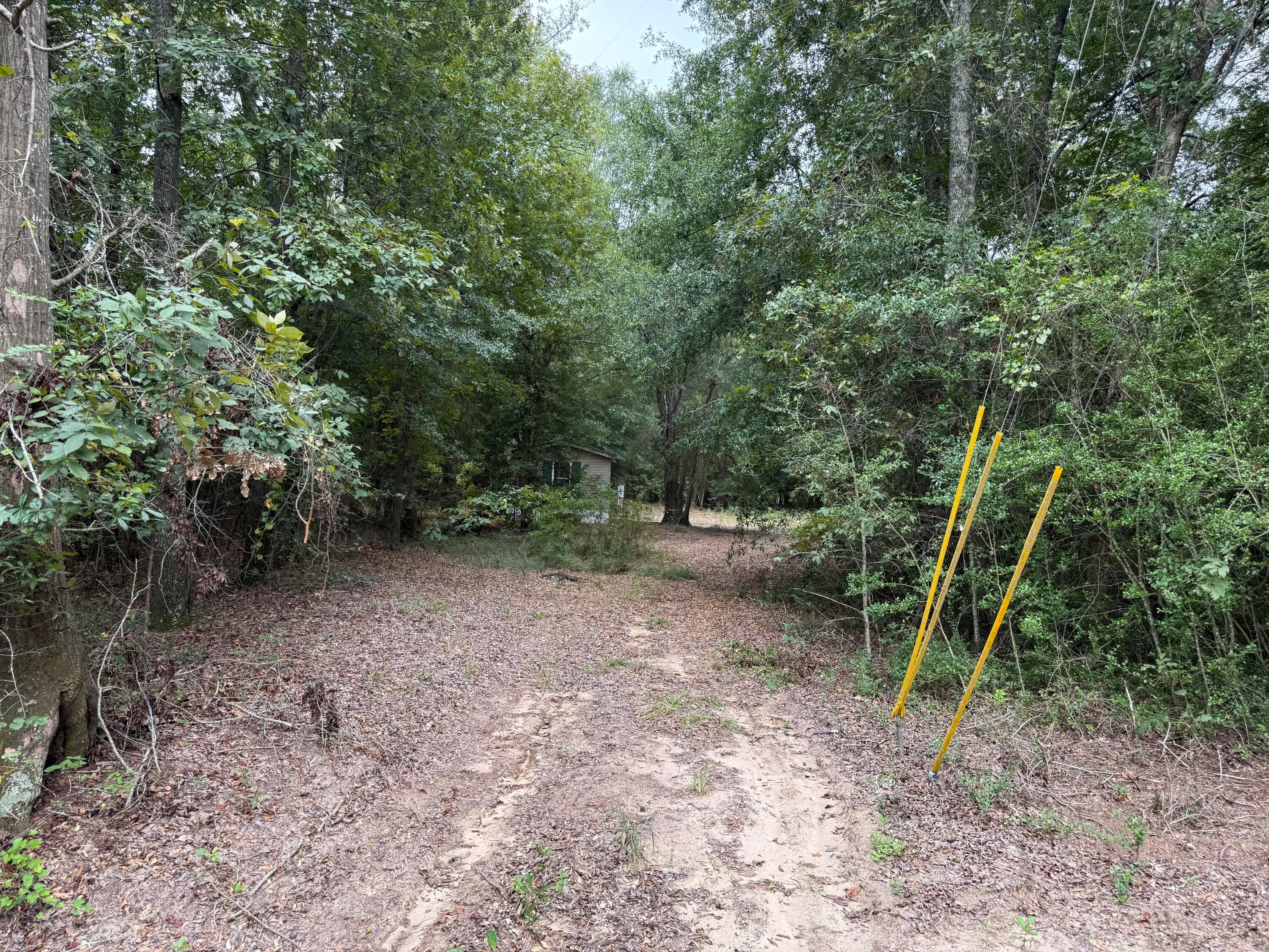 718 Williston Road Beech Island, SC 29842 - Photo 2 of 8 Gallery Image 2