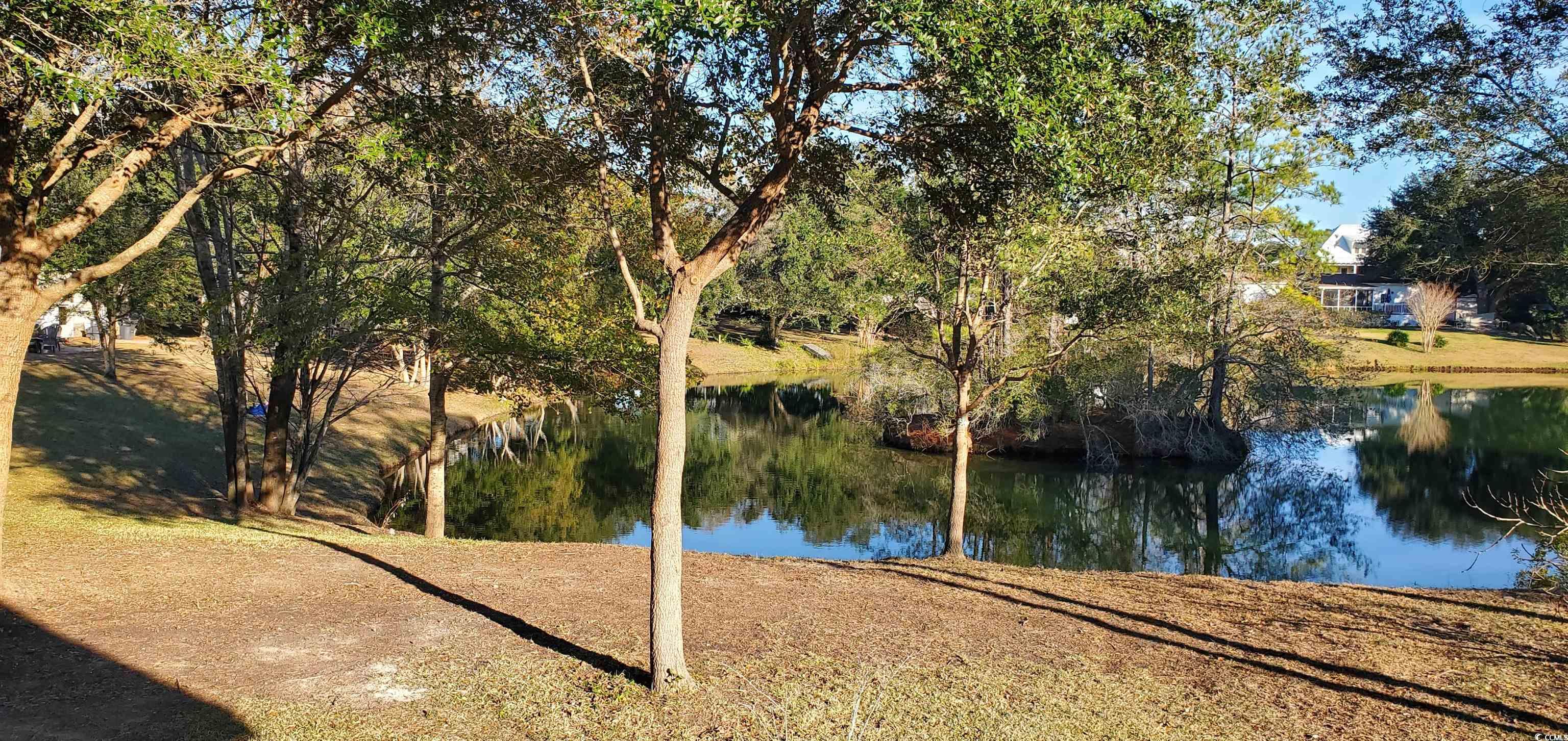 273 Hawks Nest Circle Murrells Inlet, SC 29576 - Photo 22 of 25 Gallery Image 22