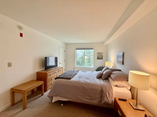 $312,000 | 15 D Mountain Villiage, Unit 234, West Dover, VT 05356