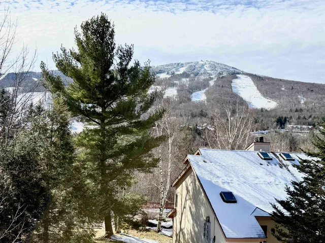 $312,000 | 15 D Mountain Villiage, Unit 234, West Dover, VT 05356