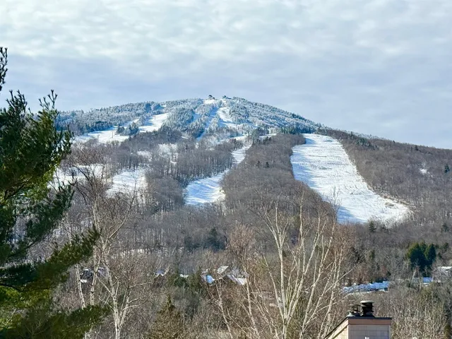 $312,000 | 15 D Mountain Villiage, Unit 234, West Dover, VT 05356