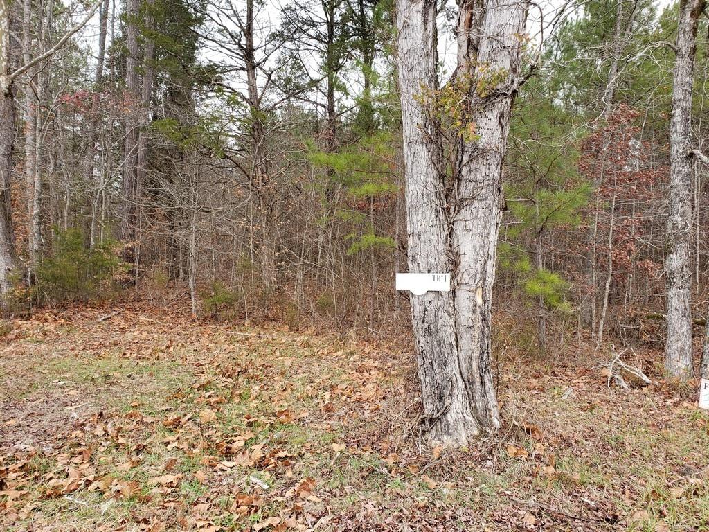 187 & 188 Decatur, TN 37322 - Photo 11 of 35 20191202_113859