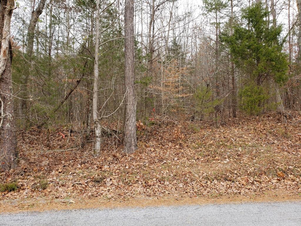187 & 188 Decatur, TN 37322 - Photo 12 of 35 20191202_113947