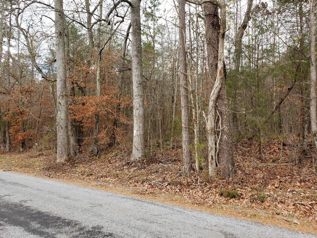 187 & 188 Decatur, TN 37322 - Photo 13 of 35 20191202_113950