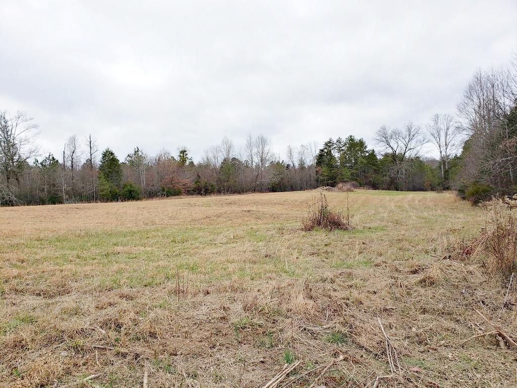 187 & 188 Decatur, TN 37322 - Photo 17 of 35 20191202_114127
