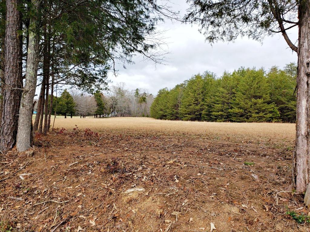 187 & 188 Decatur, TN 37322 - Photo 3 of 35 20191202_113418