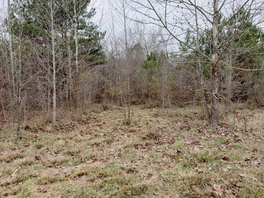 187 & 188 Decatur, TN 37322 - Photo 22 of 35 20191202_114226